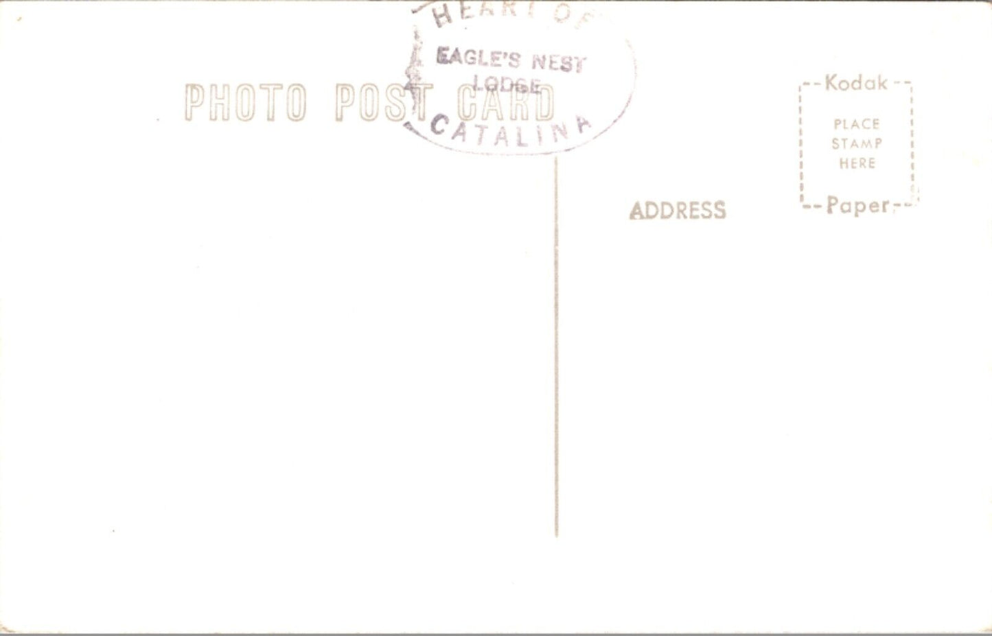 Real Photo PC Inland Tour Bus Truck Guides Driver Catalina Island California