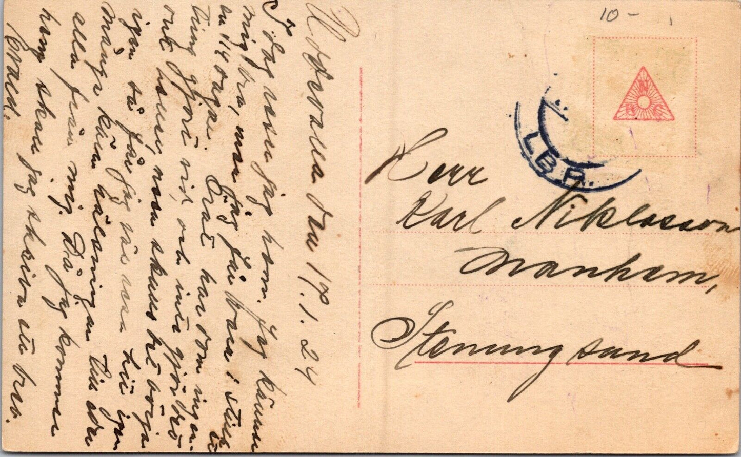 Real Photo Postcard Portrait of a Dog in a Photo Studio