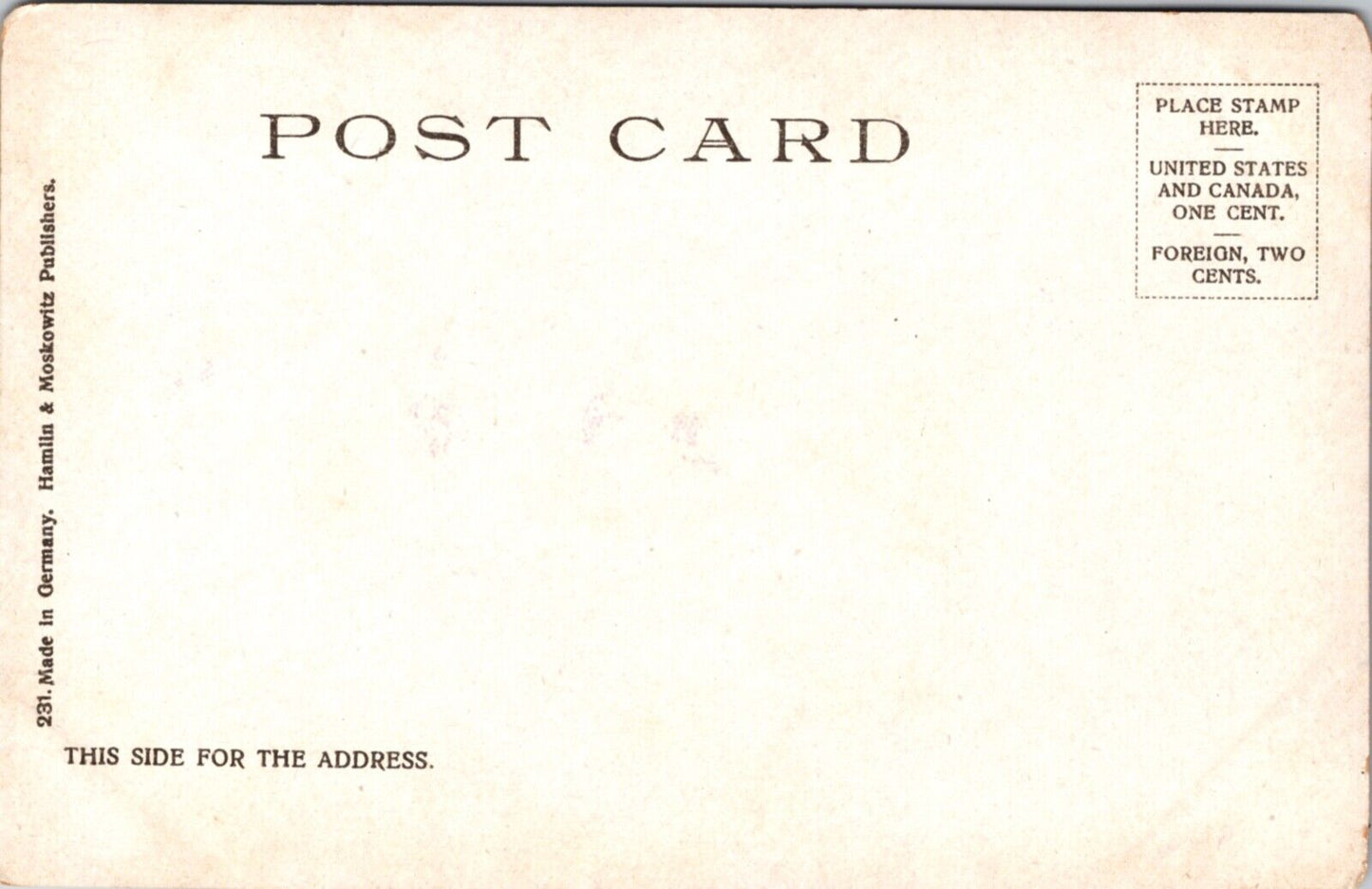 Postcard Court of Fountains at Luna Park, Coney Island, New York