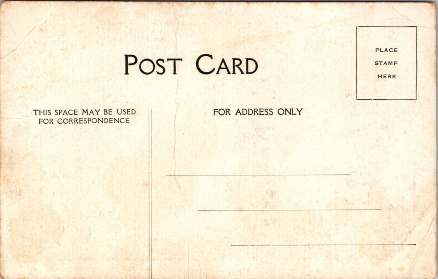 Postcard Kiddies Play Roof at Prince George Hotel Fifth Ave & 28th New York City