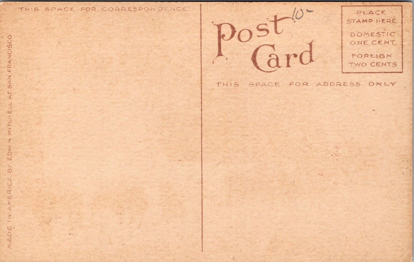 Yukon Dog Team Freighting Through Alaskan Canyon Alaska Postcard