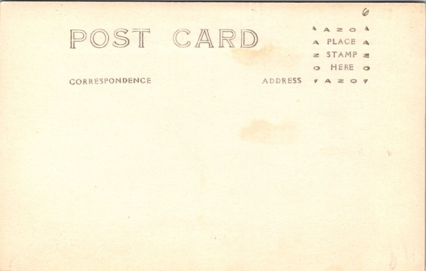 Real Photo PC The Giant Petrified Forest Calistoga Road Santa Rosa, California