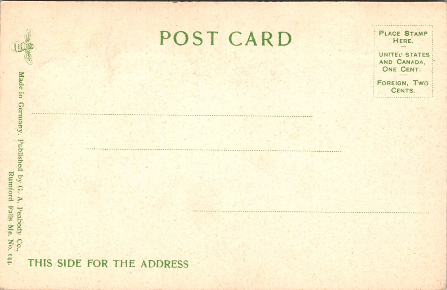 Postcard W.C. Holt's Camps at Howard's Lake in Hanover, Maine