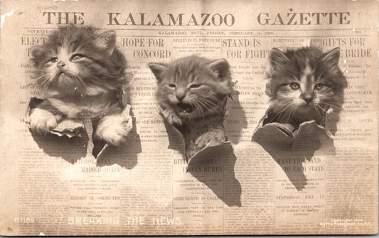 1906 Three Kittens Breaking Through Newspaper The Kalamazoo Gazette Michigan